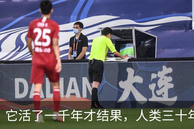 它活了一千年才结果，人类三十年砍光，消失的秘密至今无人能解