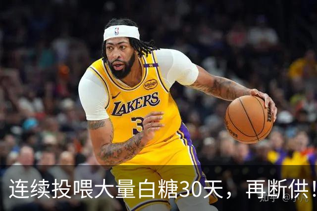 连续投喂大量白糖30天，再断供！国外网红扮“蚂蚁天神”整蛊野生蚁群