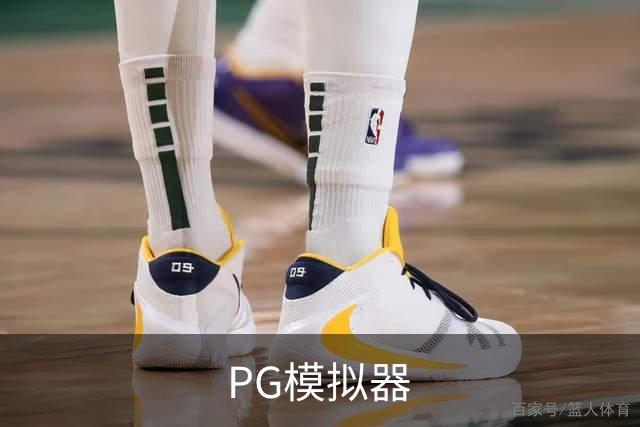 PG模拟器公司环境